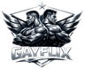GayFlixx Comics