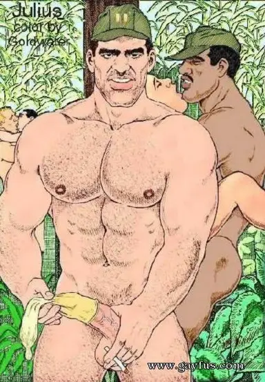 Other Julius Stuff - Color - Colour By Goldwater